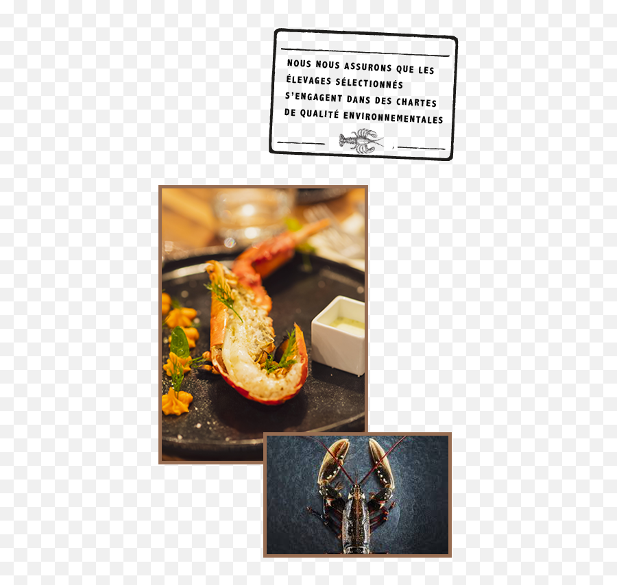 The Restaurant Beef U0026 Lobster - Alpine Grill Val Thorens Serveware Png,Lobster Png