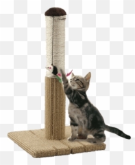 Cat Scratching Post - Conbini Japan Your Japanese Online Store Cat Scratch Tower Png,Scratch Cat Png