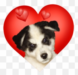 Valentines Day Hearts Graphics - png