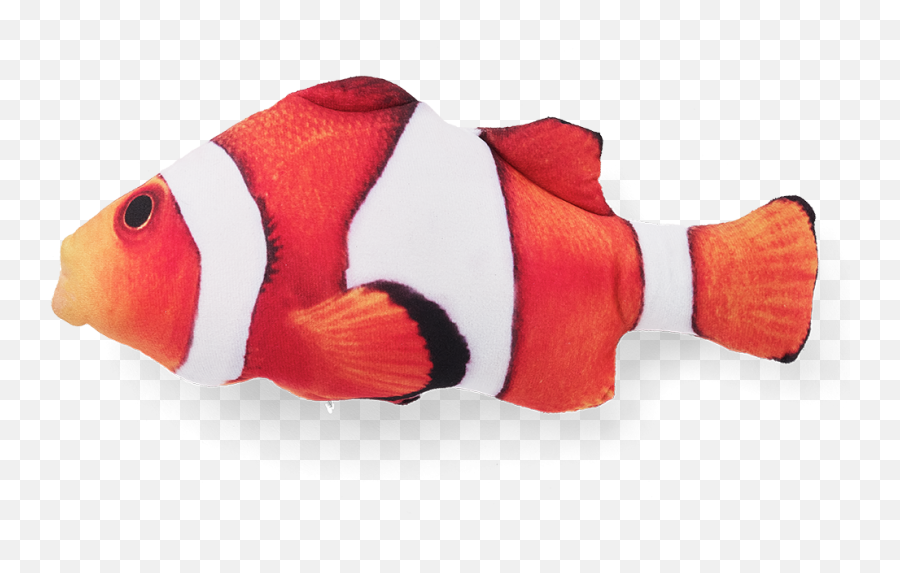 Refillable Catnip Clowfish Toy Litterboxcom - Ocellaris Clownfish Png,Clownfish Png