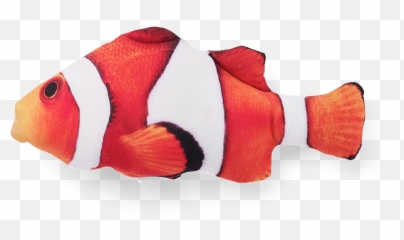 Refillable Catnip Clowfish Toy Litterboxcom - Ocellaris Clownfish Png,Clownfish Png