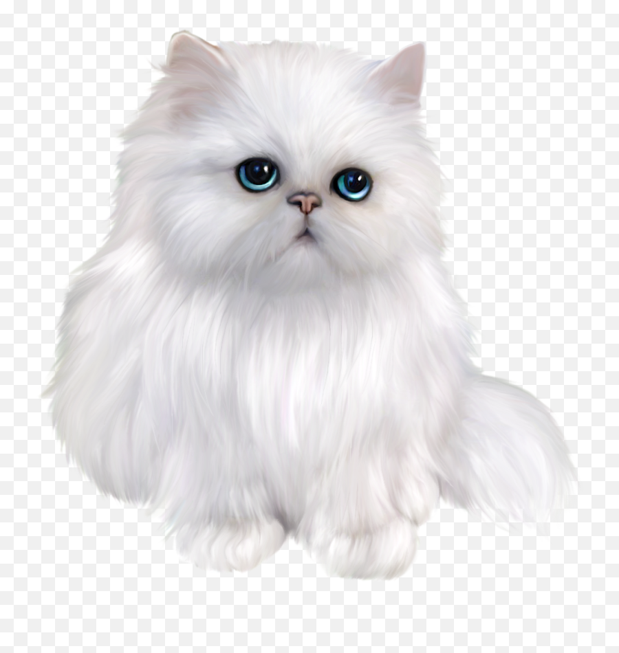 Kitty Transparent Persian Picture 1422831 - Persian Cat Clipart Png,Cat Clipart Transparent