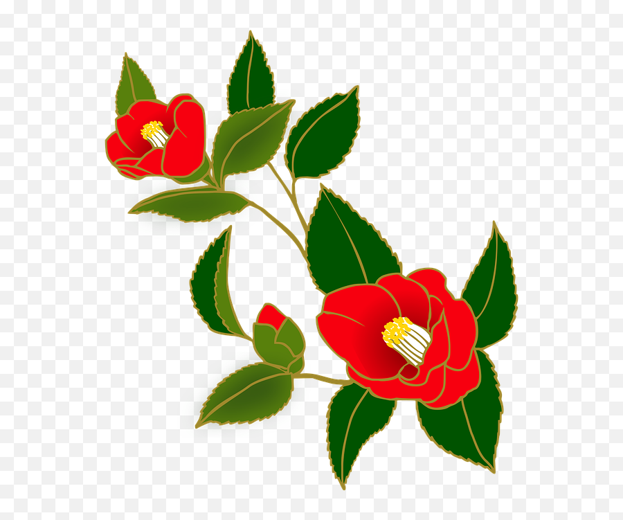 Camellia Flowers Red Japanese Style - Png,Japanese Flower Png
