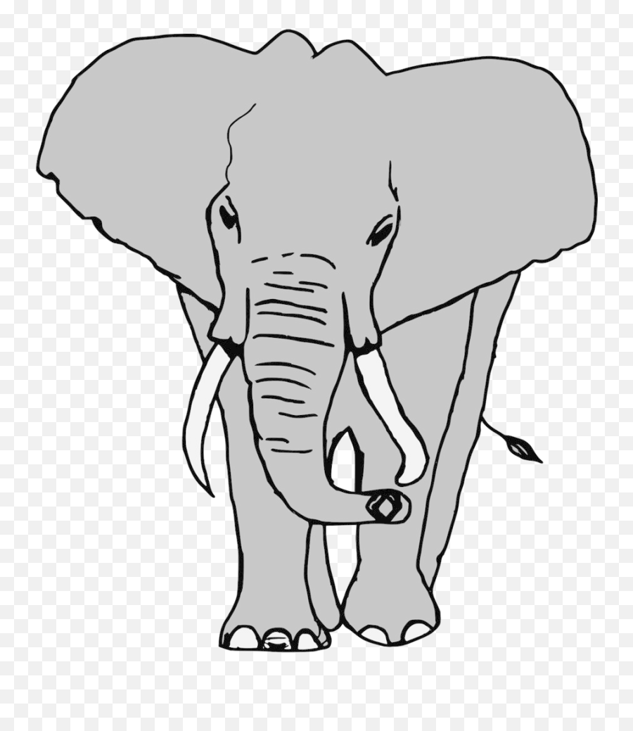 Elephants Png Transparent Background - Elefante Png,Elephant Transparent Background