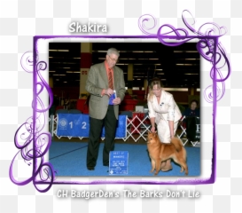 Shakira Ch Badgerdenu0027s The Barks Donu0027t Lie - Kennel Club Png,Shakira Png