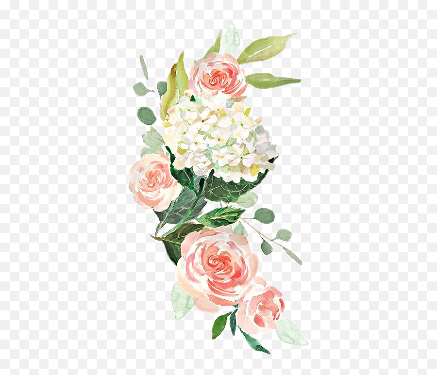 Watercolor Flowers Roses Floral Sticker By Stephanie Transparent Free Watercolor Flowers Background Png Free Transparent Png Images Pngaaa Com