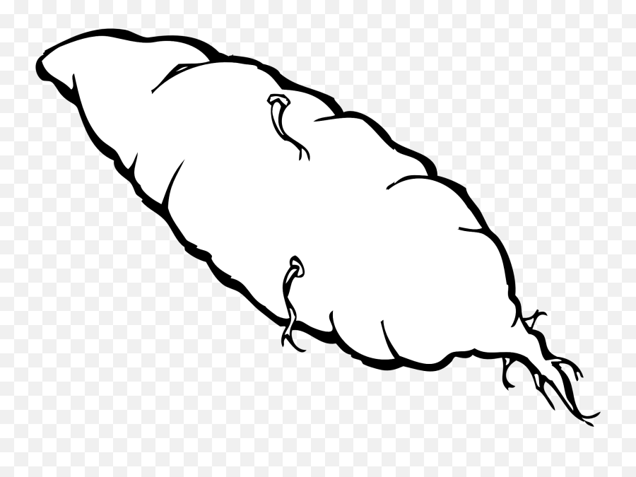 Sweet Potato Yam Outline Vector Sketch - Ubi Black And White Png,Yam Png