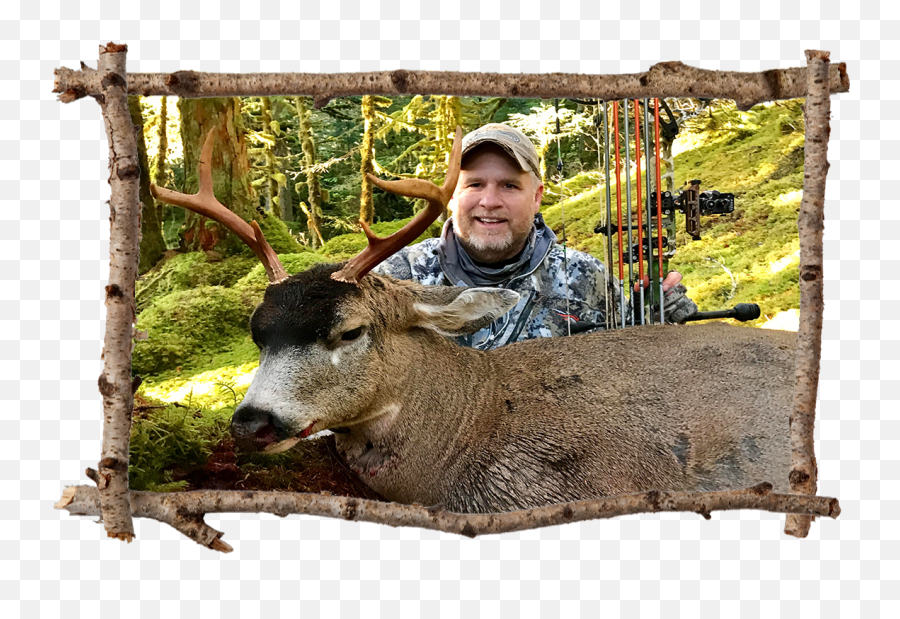 Sitka Deer Hunting - Alaska Game Hunting Hunt Afognak Wildlife Biologist Png,Deer Hunting Logo