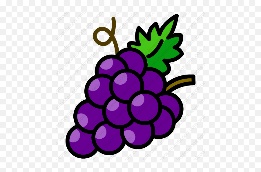 Download Grapes Vector Icon - Clip Art Fruits Grapes Png,Grapes Icon