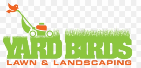Application Yard - birdsnashville Rambo png