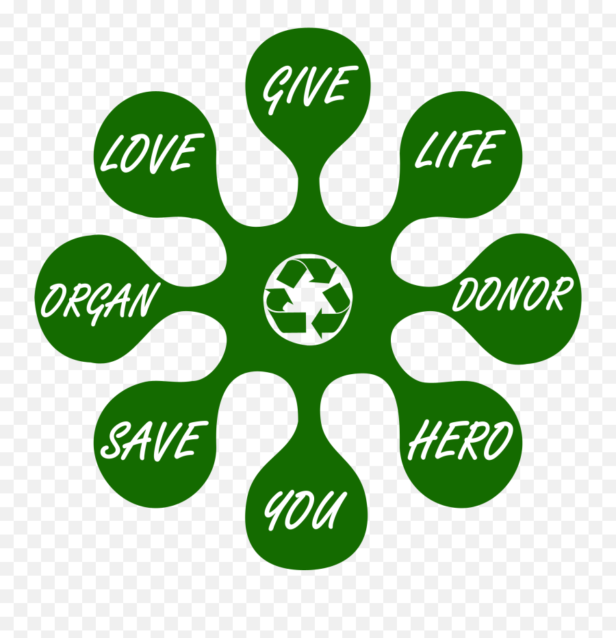 Google Image Result For Httpwwwtransplanttshirtscom - Transparent Organ Donation Png,Donation Png