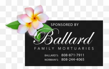 Maui Obituaries Now News U0026 Information - For Party png