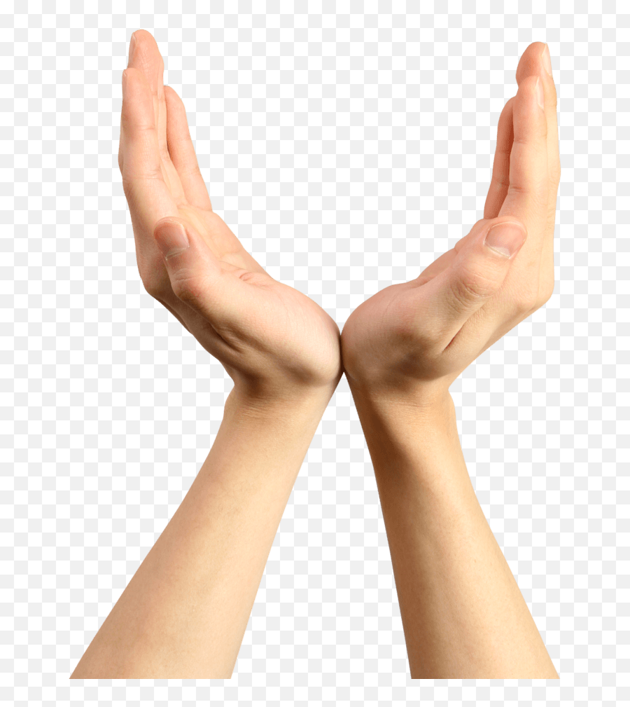 Holding V Hands Transparent Png - Hands With No Background,Hand Holding Png