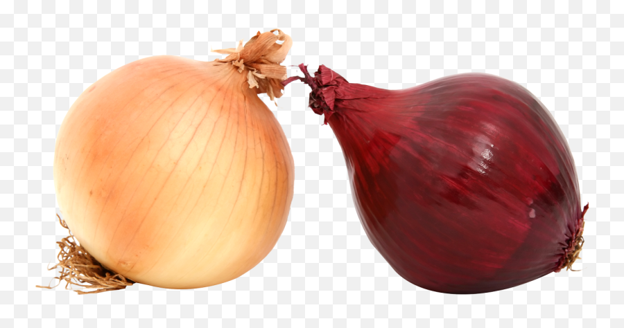 Onion Png Images - Onions Png,Onion Png