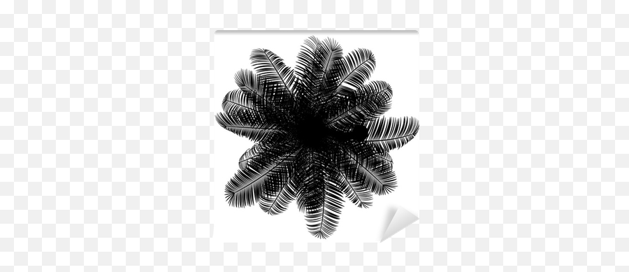 Top View Silhouette Of Coconut Palm Tree Isolated - Top View Palm Tree Silhouette Png,Tree Top View Png