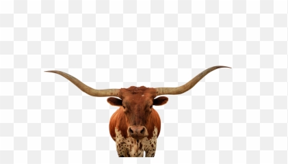 Free Texas Longhorn Silhouette - Long Horned Cattle Png,Longhorn Png
