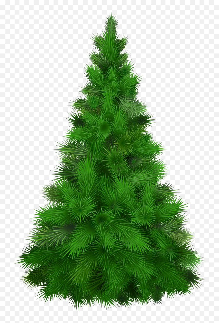 Christmas Pine Tree Transparent Png - Pine Tree Transparent,Red Tree Png