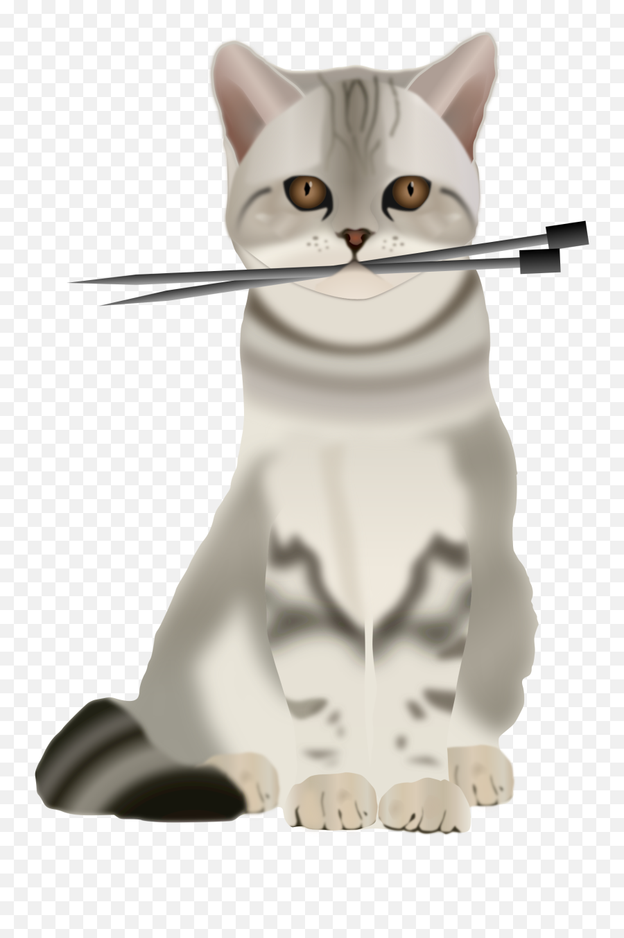 Download Hd This Free Icons Png Design Of Cat With Knitting Icon