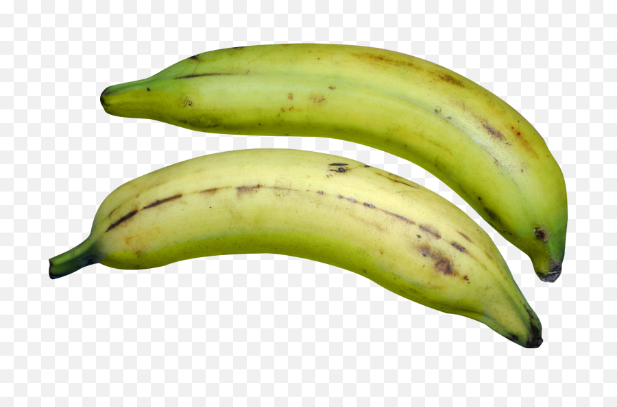 Download Free Png Green Banana - Plantain Png,Banana Transparent