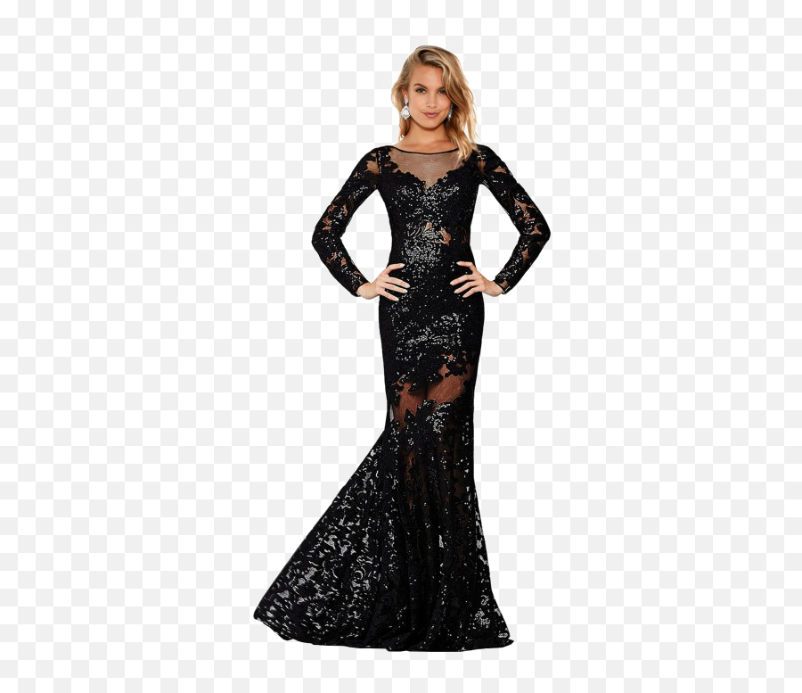 Long Sleeve Dress Transparent - Roberto Cavalli Black Dress Snake Png,Dress Transparent Background