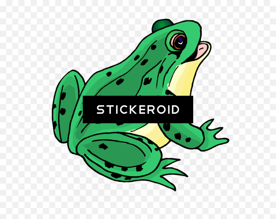 Frog Clip Art - Animated Image Of Frog Png,Frog Clipart Png