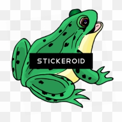 Frog Clip Art - Animated Image Of Frog Png,Frog Clipart Png