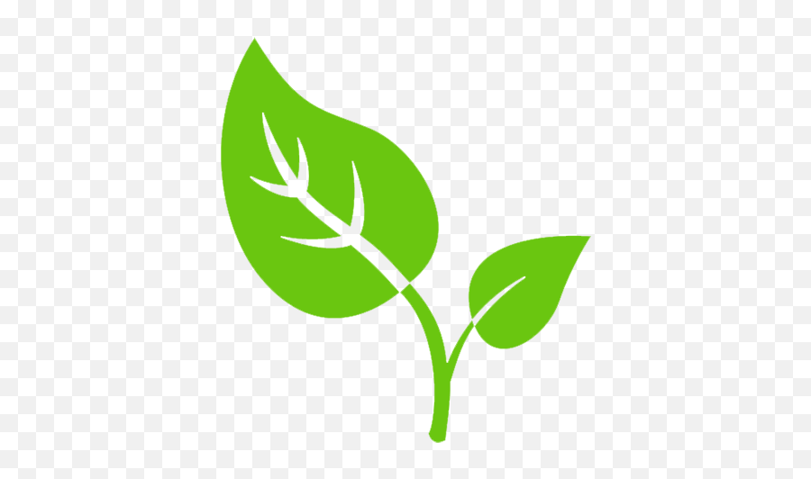 Tobacco Leaf Drawing Free Download - Transparent Background Tobacco Leaf Clipart Png,Leaf Vector Png