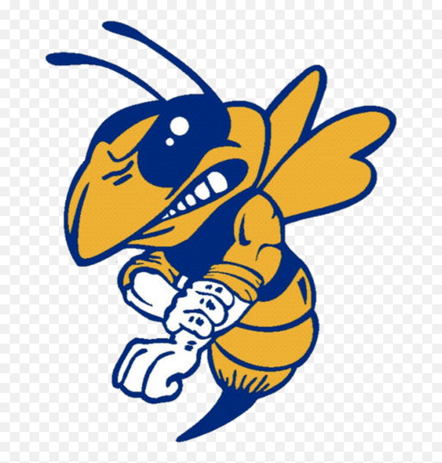 East Canton Hornets Logo - East Canton High School Png,Hornets Logo Png