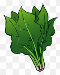 Spinach Vegetable Clipart Free Download Transparent Png - Spinach Clipart,Spinach Png