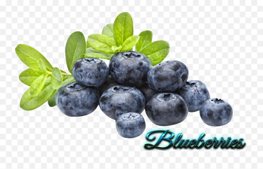 Full Size Png Image - Blueberry Png,Blueberry Transparent Background