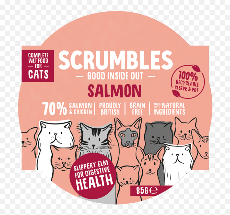 Wet Salmon Cat Scrumbles The Green Woof - Cartoon Png,Salmon Png
