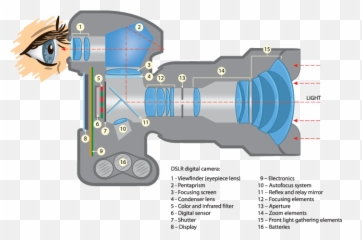 Dslr Vs Mirrorless Cameras - Dslr Camera Parts Png,Camera Viewfinder Png