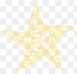 Clip Art - Dot Png,Starfish Clipart Transparent Background