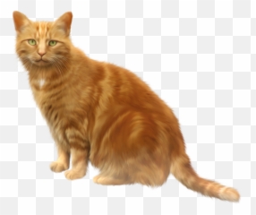Transparent Cat Png Background - Clipart