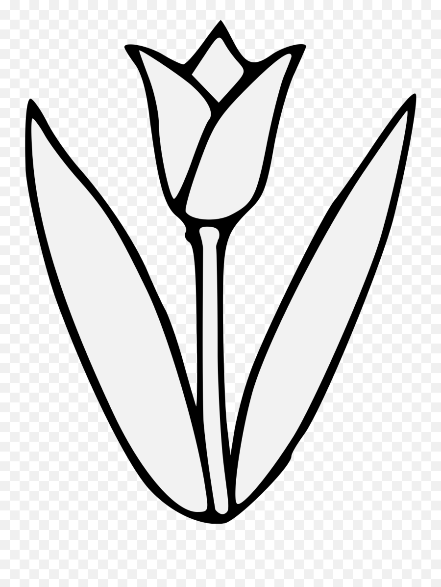 Tulip - Tulip Flower Clipart Black And White Png,Tulips Png