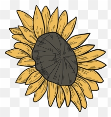 Sunflower Clipart Free Download Transparent Png Creazilla - Lovely