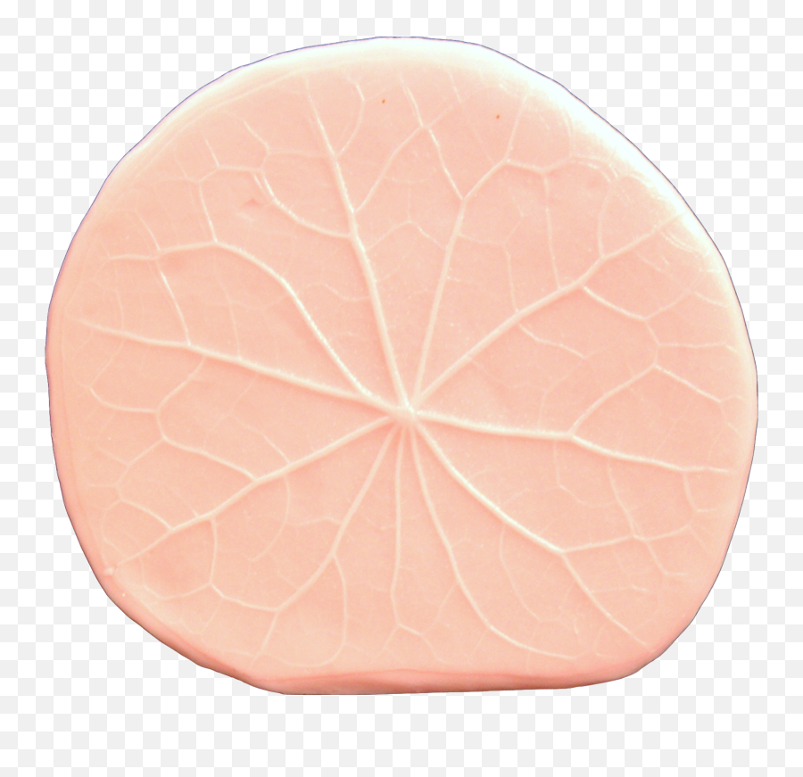 Lily Pad Leaf - Circle Png,Lily Pad Png