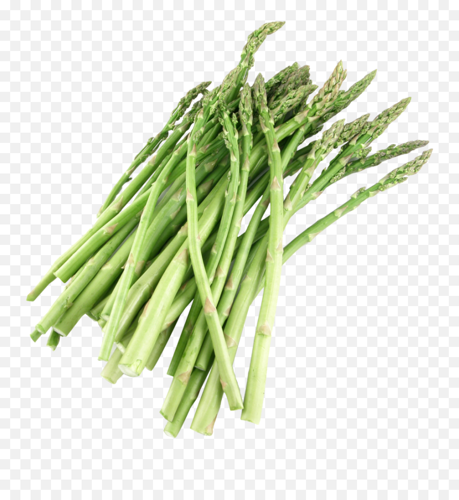 Asparagus Png Image - Asparagus Meaning In Urdu,Vegetable Garden Png