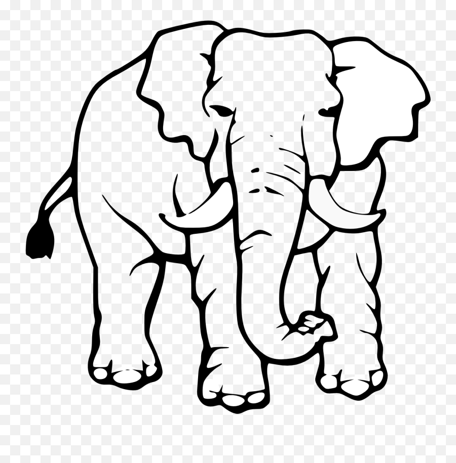 Library Of White Elephant Banner Free Stock Png Files - Elephant Images To Colour,Elephant Png