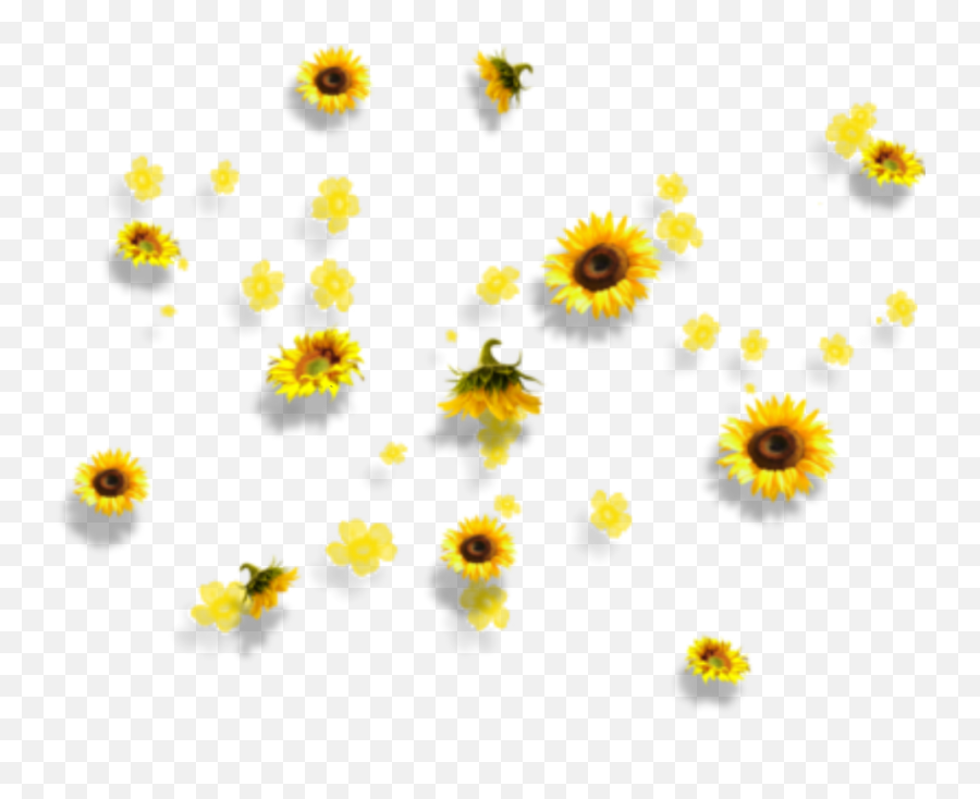 Yellow Flowers Aesthetic Tumblr Falling - Transparent Background Png Aesthetic,Flowers Png Tumblr
