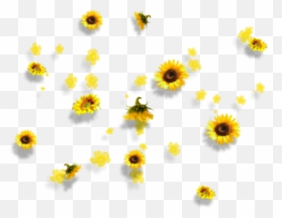 Yellow Flowers Aesthetic Tumblr Falling - Transparent Background Png