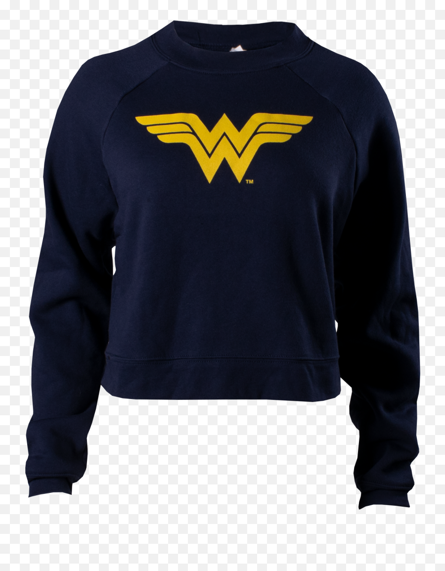 Wonder Woman - Echelon Fit Us Superhero Png,Wonder Woman Buddy Icon