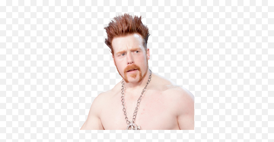 My Heart Beats Just For Sheamus Stephen - Sheamus Png,Sheamus Png