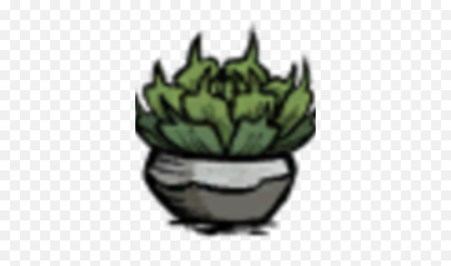 Succulent Plant Png