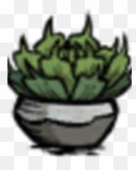 Succulent Plant Png