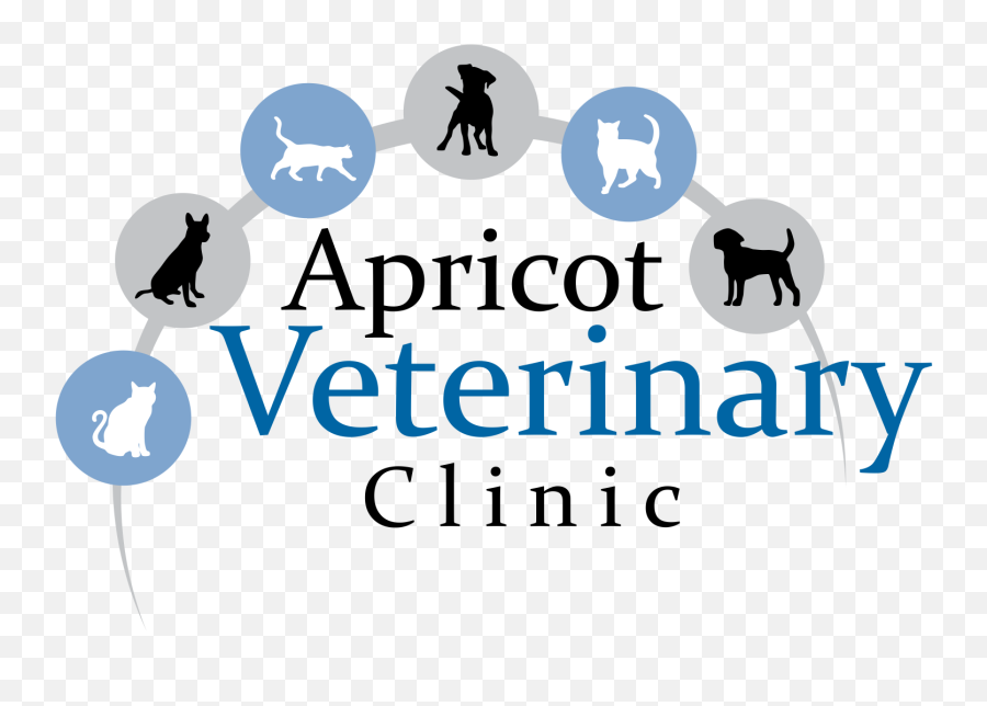 Veterinarian In Patterson Ca Apricot Veterinary Clinic - Ga In Bad Temper Png,Veterinary Logo
