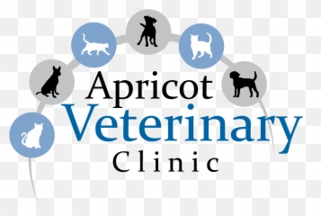 Veterinarian Patterson Ca Apricot Veterinary Clinic - Ga In Bad Temper png