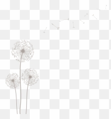 Dandelion Tumblr Transparent Png