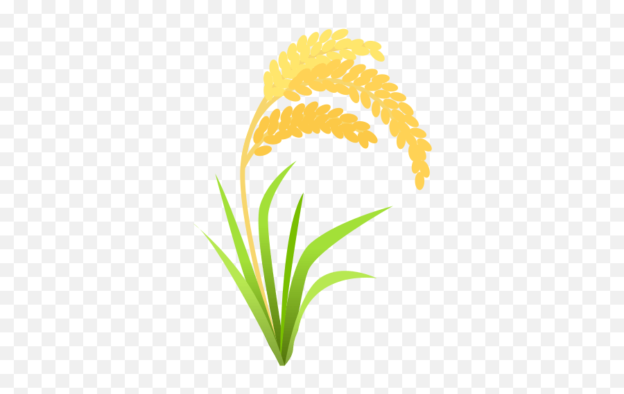Rice Plant Clipart Png Image - Rice Plant Clipart Png,Plant Clipart Png