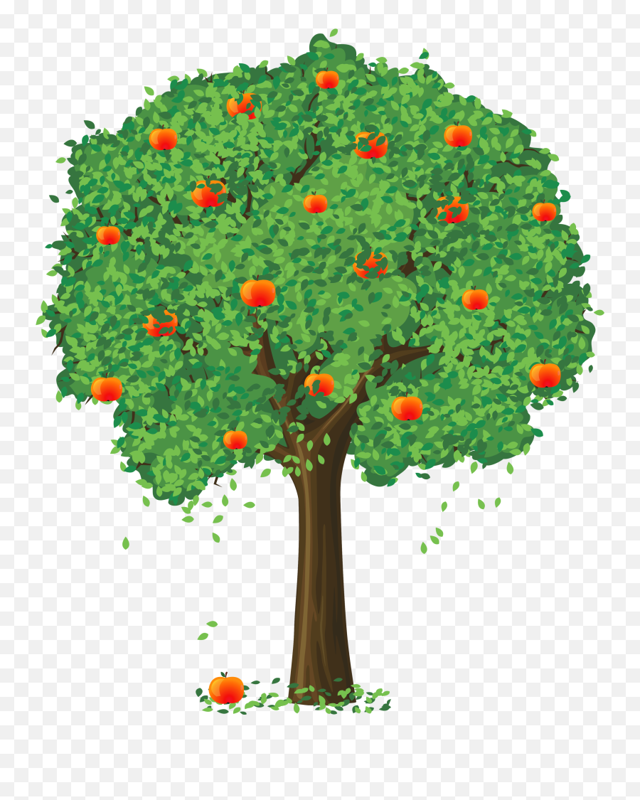Fruit Tree Clipart Png